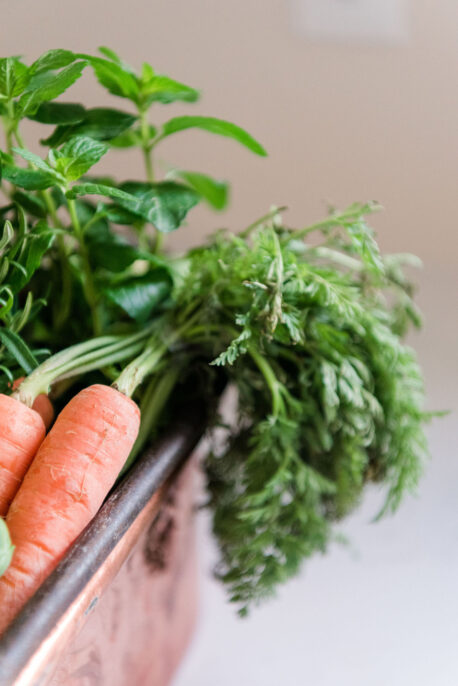 lifestyle food photography